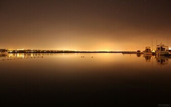 Calm Peacefulness HD Wallpaper 3d Bird High Definition