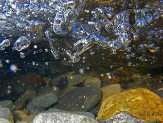 Trout Stream Wallpaper