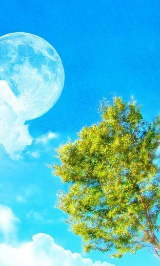 Beautiful Wallpaper For Samsung I9000 Galaxy S Mobile Entertainment