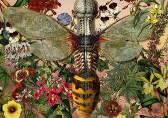 Human Metamorphosis The Independent