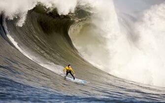 Surfing Desktop Wallpaper Weddingdressin