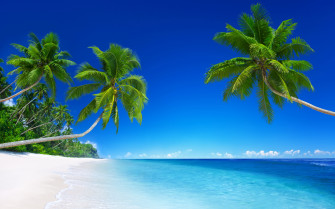 Tropical Beach Paradise 5k 4k Wallpaper