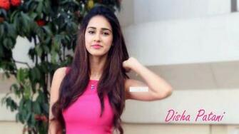 Disha Patani Pic11 5k Ultra HD Wallpaper Spark Of Reality