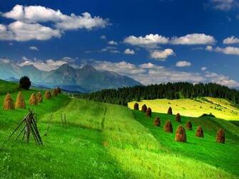 Green Mountain Meadow Wallpaper