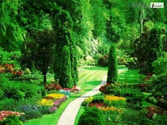 Wallpaper Beautiful Scenery Nature