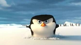 Penguins Of Madagascar Image Skipper Is So Cute HD Wallpaper