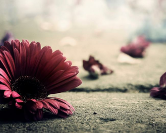 Wallpaper For Samsung Galaxy Note Antique
