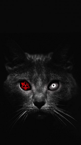 Thanos Cat iPhone Wallpaper
