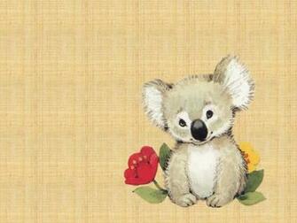 Koala Wallpaper