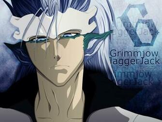Cosplay Island Costume Misfit Grimmjow