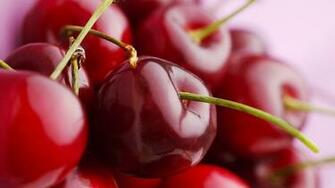 Red Cherry Wallpaper Screensavers Ventube