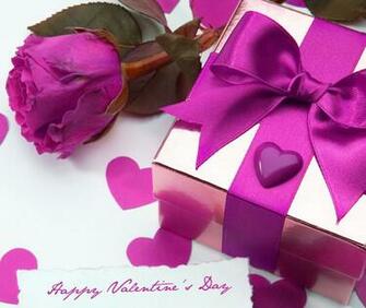 Valentines Day Violet Rose 4k Ultra HD Background
