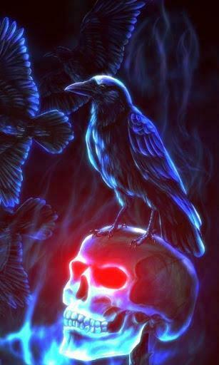 Grim Reaper Motion Background Live Wallpaper For Android Auto