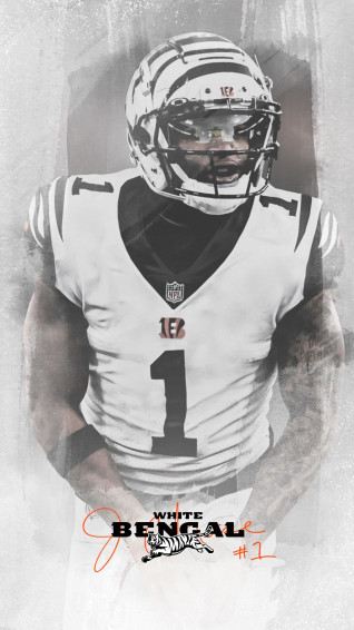Bengals Wallpaper On