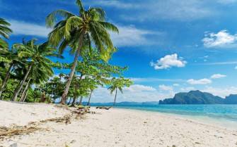 iPhone X Wallpaper Tropical Beach HD 4k