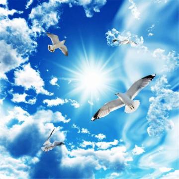 Custom Large Ceiling Mural Wallpaper 3d Stereo Blue Sky White