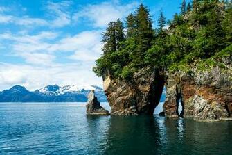 Wallpaper Usa Kenai Fjords National Park Crag Nature Spruce Parks