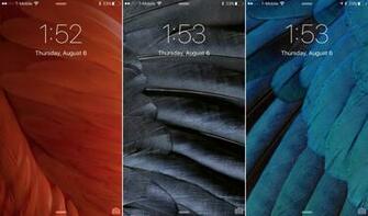 Post Full Links To The Wallpaper Once They Become Available