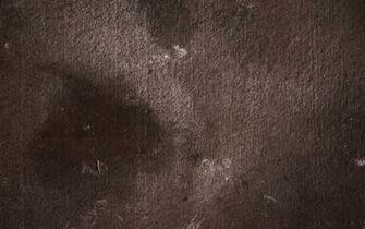 Cement Wallpaper