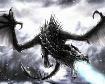 Skyrim Dragon High Quality And Resolution Wallpaper On