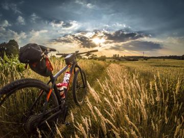 Top Places To Mountain Bike In Napa Valley For All Skill Levels