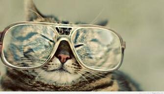 Cool Cat Wearing Glasses Megalawlz