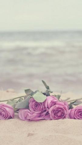 iPhone 5c Wallpaper Vintage Quotes Beautiful