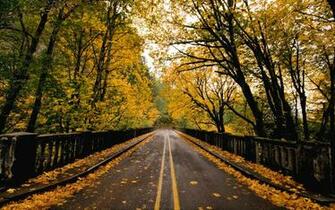 Autumn Way Wallpaper