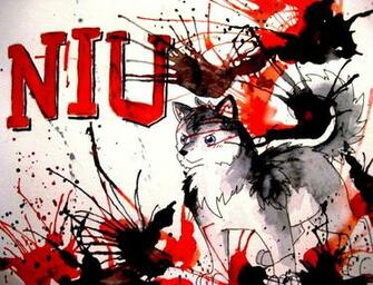 Niu Huskie Gift By Athena Unleashed