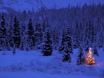 Christmas Image Wallpaper Blue Forest Tree Jpg