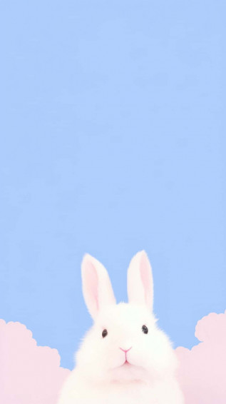 Bunny Aesthetic Wallpaper
