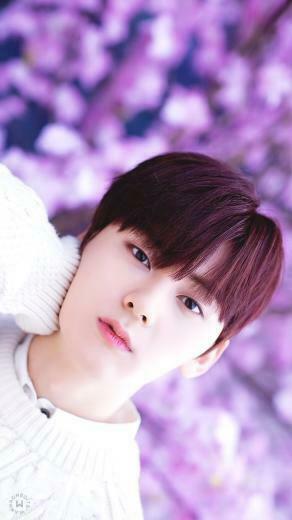 Wannaone Wallpaper On Wanna One Hwang Minhyun