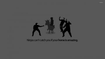 Ninjas Can T Catch You If Your Horse Is Amazing Wallpaper Meme
