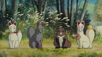 Pom Poko Wallpaper Studio Ghibli