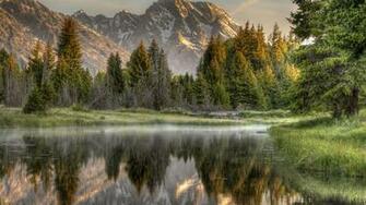 Mountain Lake Spruce Forest