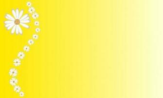 Daisies On Yellow Background Stock Photo HD Public Domain Black
