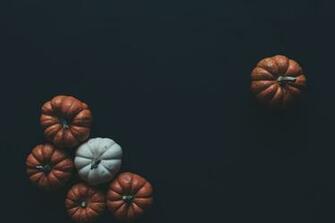 Halloween Fall Background Image