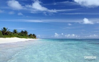 Desktop Wallpaper Background Puerto Rico Beach Flamenco Culebra