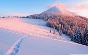 Winter Nature Ultra HD Desktop Background Wallpaper For