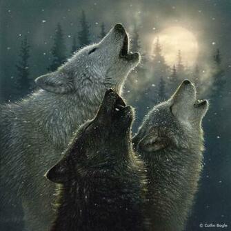 Wolf Paintings Art Prints Wolves Painting Artist