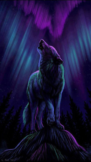 Fire And Ice Wolf Wallpaper