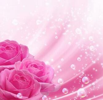 Pink Background With Roses Gallery Yopriceville High