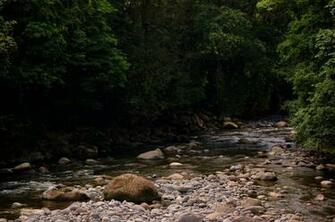 River Rock Nature HD Wallpaper