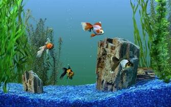 Avere Un Acquario In Casa Farebbe Piacere A Molti Ma Poi Occorre