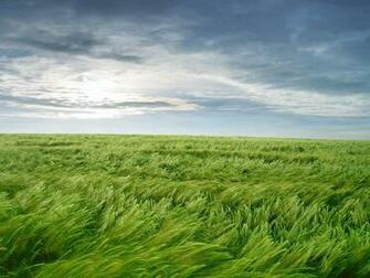 Kansas Can See Some Wicked Winds Especially In The Springtime Insert