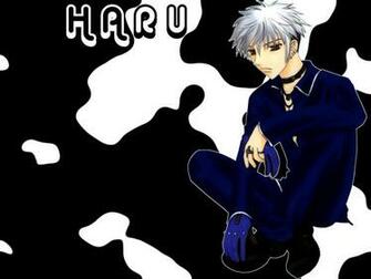 Wallpaper Haru Acn Gallery