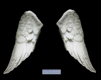 Wings White Angel By Elisafox Stock