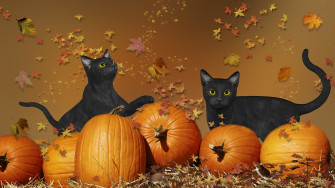 Cute Halloween Wallpaper