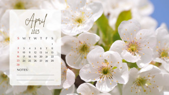 And Customizable Floral Desktop Wallpaper Templates