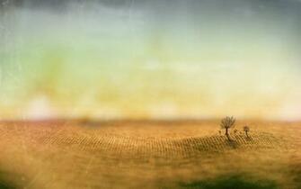 Dreams Tilt Shift Widescreen Wallpaper